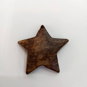 Estrela coco 01 - 10 peças (coc04)
